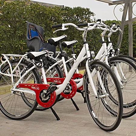 سول سوتّومارينا